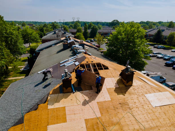 Trusted Flat Roof Repair service in Nome, ND - Brentwood Metal Roofing